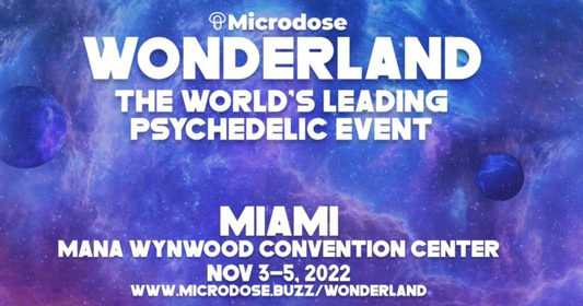 Soundself to Sponsor, Speak, and Demonstrate Digital Therapeutic Product at Wonderland–the World's Leading Psychedelic Event
