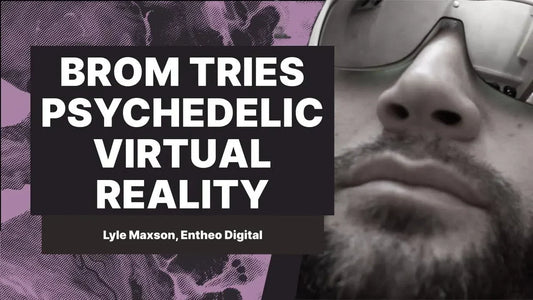 Virtual Reality and the Future of Psychedelics